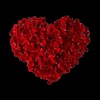 @afnan 94 - @afnanmohammed02 - TikTok