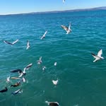 Afnan rayan - @afnan_rayan1 - Instagram