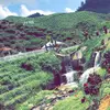 Afnan - @afnan.saad2 - TikTok