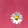 Afnan Sa'ad - @afnansaad98 - TikTok