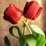 Afnan Saad - @afnan.saad.1848 - Instagram