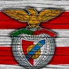 afonso castro - @afonso.castro42 - TikTok