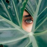 AL_Ward - @afra_alameeri - Instagram