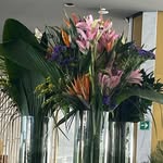 @afrabrown_30 - Instagram