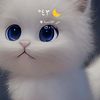 afrafredh - @afrafredh - TikTok