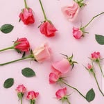 Afra Muhammad - @afraa_muhammad123 - Instagram