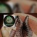 Afra Muhammad - Facebook
