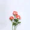 Afra Siddig - @afra.siddig - TikTok