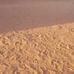 Afrah Siddig - Facebook