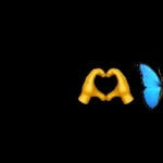 afra syed - @_afra_here_ - Instagram