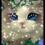 syed afra - @afra.syed - Instagram