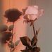 Afrah Kaid - Facebook