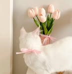 Afrah Mohammed - Facebook