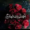 Afsheen - @afsheenkhalid12345 - TikTok