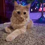 Afton Davis - @deltakilo45 - Instagram