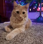 Afton Davis - Facebook