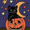 aftonalexandria - @aftondavis2 - TikTok