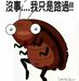 Afu Chan - Facebook