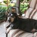 Agatha Argyros - Facebook
