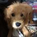 Agatha Walker Baldwin - Facebook