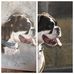 Agatha Bauer - Facebook