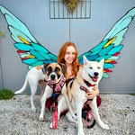Agatha 🐺 & Bella 🐶 - @agatha_y_bella - Instagram