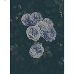 agathabell - @agathabell7 - Instagram