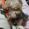 Agatha,  Benjamin e Theo - @maria.sophia4856 - TikTok