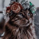 @agath.abenson - Instagram