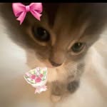 ✰𝓐𝓰𝓪𝓽𝓱𝓪 ✰ - @agatha__berg - Instagram