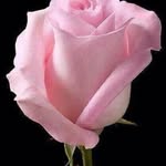 Agatha Best - @agatha.best.7 - Instagram