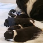 Agatha + Black - @blackandagatha - Instagram