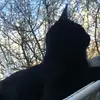 agathabraun - @julchen22062 - TikTok