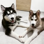 Agatha & Bruno - @agatha_y_bruno - Instagram