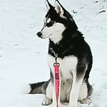 M Garben Bryant - @agathabryant - Instagram