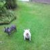 Agatha Buijs - Facebook