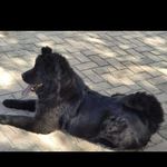 Agatha - @agatha_chowvix - Instagram