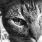 Agatha Constance - Facebook