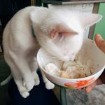 Agatha Cooper - @cooper.eats - Instagram