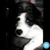Agathacortess  - @2142632931 - TikTok