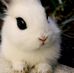 Agatha Doyle - Facebook