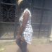 Agatha Eugene - Facebook