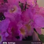 Agatha Fleming - @agathafleming - Instagram