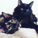 Agatha And Florence - @aggyandflo - Instagram
