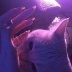Agatha Leoni Florence - @aghataflorence_ - Instagram