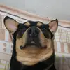 Agatha Gallo - @agatha.gallo1 - TikTok