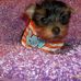 Agatha Frank Garrett - Facebook