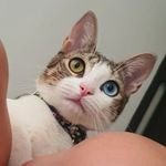 𝓐𝓰𝓪𝓽𝓱𝓪🔮🐈 - @agatha.green.and.blue - Instagram
