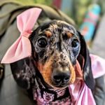 Agatha Literati - @agathaofgreenway - Instagram