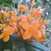Agatha Gregory Jardinero - Facebook